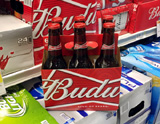 Budweiser Beer