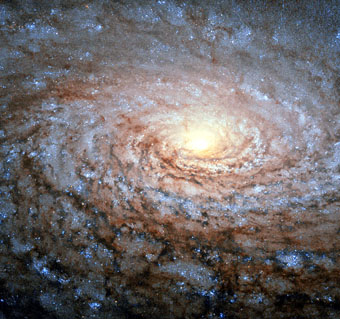 Messier 63 Sunflower